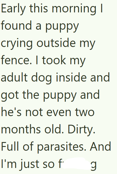 Early this morning I found a puppy crying outside my fence. I took my adult dog inside and got the puppy and he's not even two months old. Dirty. Full of parasites. And I'm just so f g