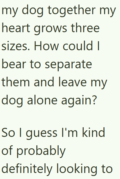 my dog together my heart grows three sizes. How could I bear to separate them and leave my dog alone again? So I guess I'm kind of probably definitely looking to