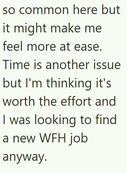 so common here but it might make me feel more at ease. Time is another issue but I'm thinking it's worth the effort and I was looking to find a new WFH job anyway.