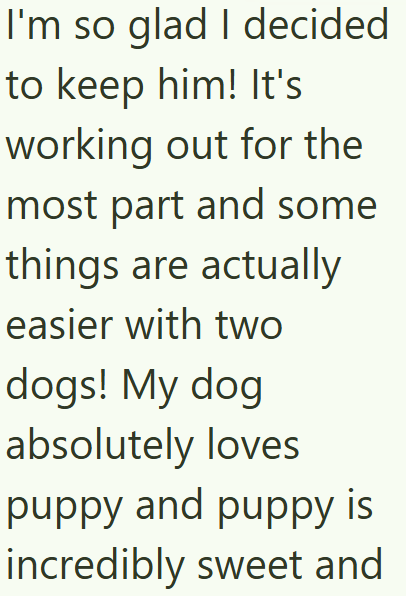 I'm so glad I decided to keep him! It's working out for the most part and some things are actually easier with two dogs! My dog absolutely loves puppy and puppy is incredibly sweet and