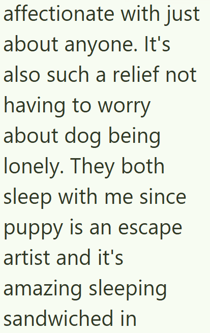affectionate with just about anyone. It's also such a relief not having to worry about dog being lonely. They both sleep with me since puppy is an escape artist and it's amazing sleeping sandwiched in
