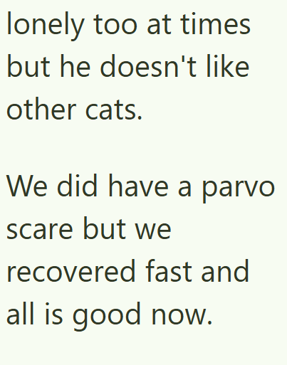 lonely too at times but he doesn't like other cats. We did have a parvo scare but we recovered fast and all is good now.