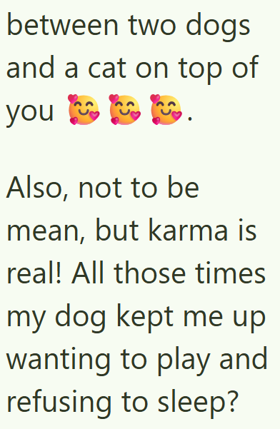 between two dogs and a cat on top of you . Also, not to be mean, but karma is real! All those times my dog kept me up wanting to play and refusing to sleep?