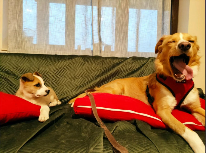 Cheezburger Image 10617469440