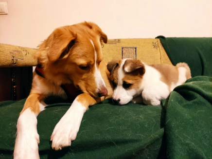 Cheezburger Image 10617469952