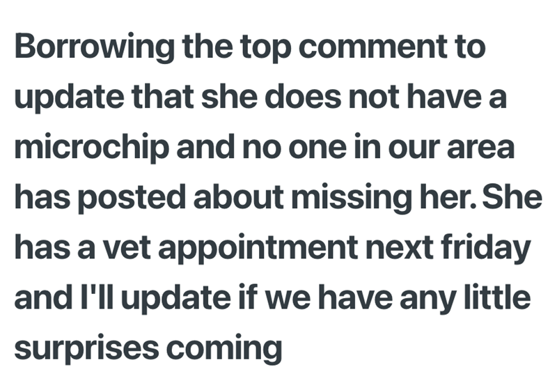 Borrowing the top comment to update that she does not have a microchip and no one in our area has posted about missing her. She has a vet appointment next friday and I'll update if we have any little surprises coming