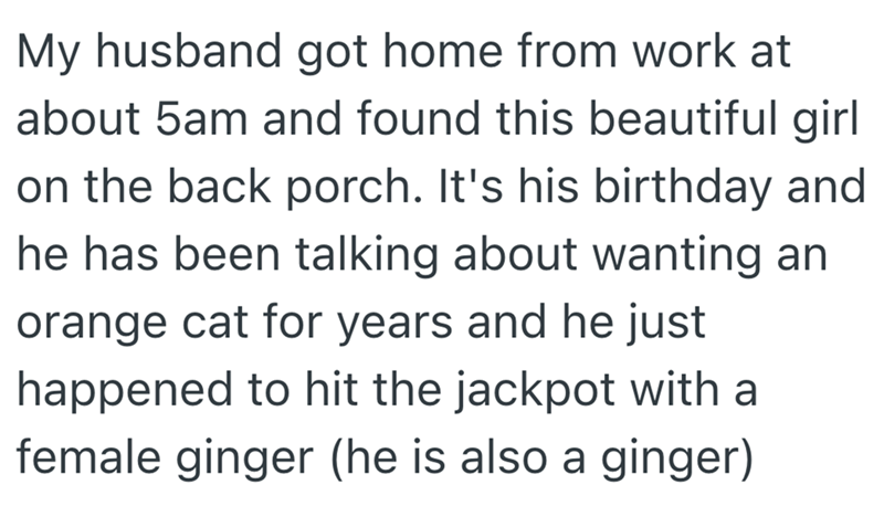 My husband got home from work at about 5am and found this beautiful girl on the back porch. It's his birthday and he has been talking about wanting an orange cat for years and he just happened to hit the jackpot with a female ginger (he is also a ginger)