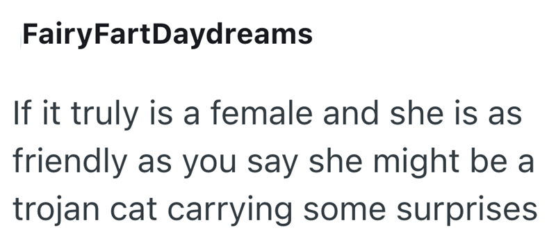 FairyFartDaydreams If it truly is a female and she is as friendly as you say she might be a trojan cat carrying some surprises