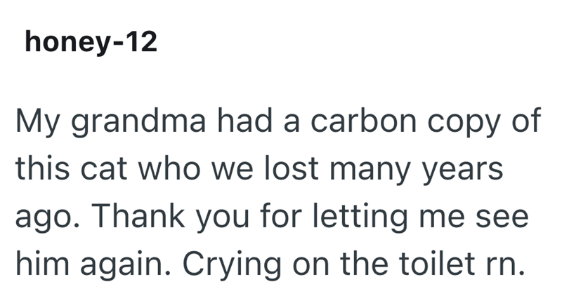 honey-12 My grandma had a carbon copy of this cat who we lost many years ago. Thank you for letting me see him again. Crying on the toilet rn.
