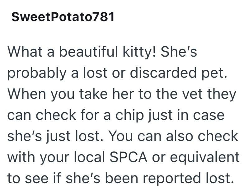 Sweet Potato781 What a beautiful kitty! She's probably a lost or discarded pet. When you take her to the vet they can check for a chip just in case she's just lost. You can also check with your local SPCA or equivalent to see if she's been reported lost.