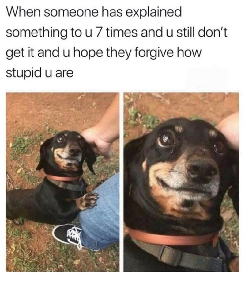 When someone has explained something to u 7 times and u still don't get it and u hope they forgive how stupid u are