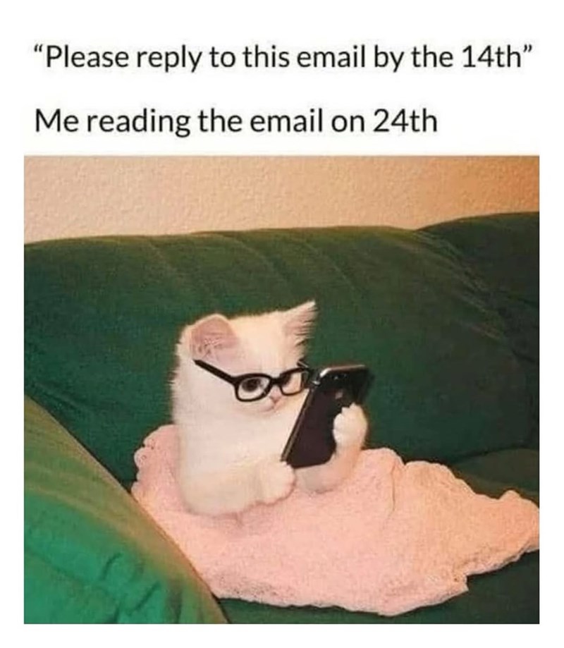 "Please reply to this email by the 14th" Me reading the email on 24th