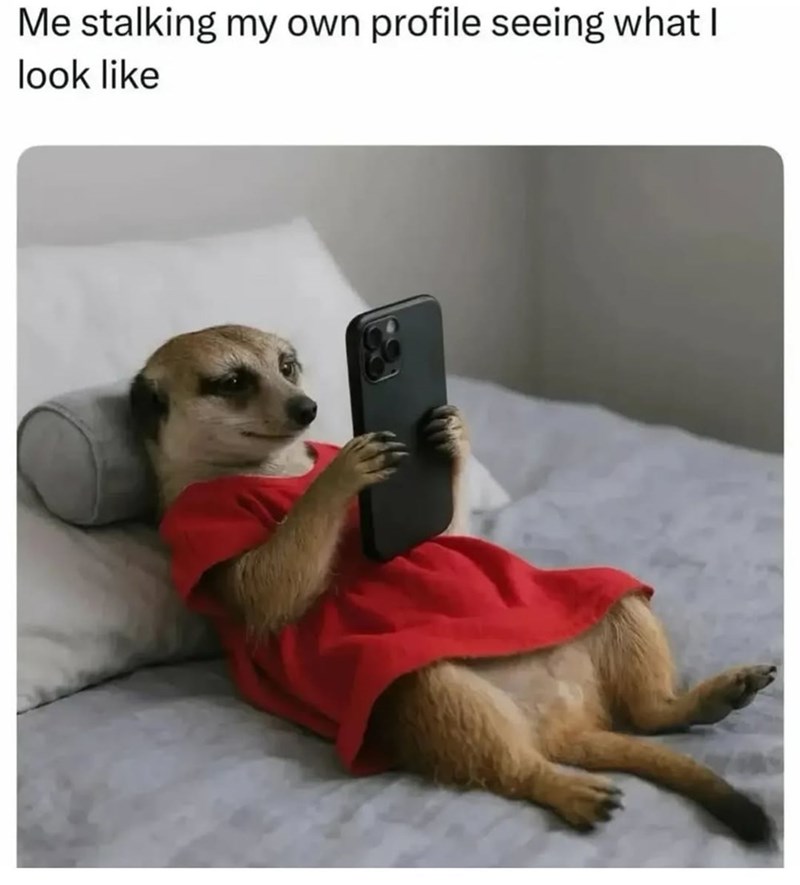 Me stalking my own profile seeing what I look like