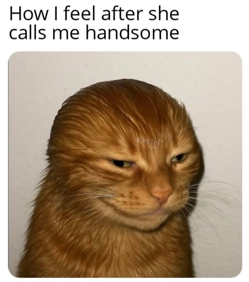How I feel after she calls me handsome