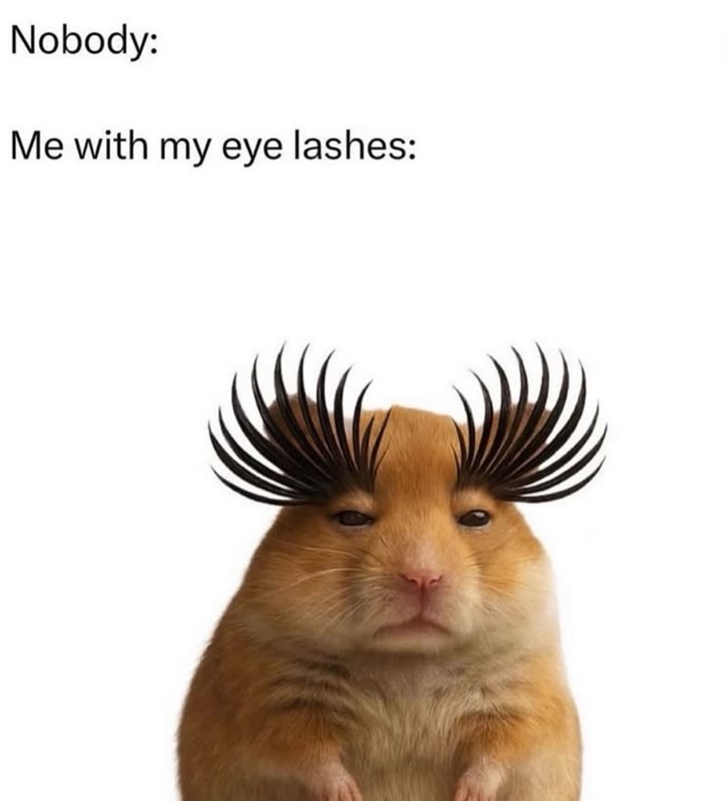 Nobody: Me with my eye lashes: