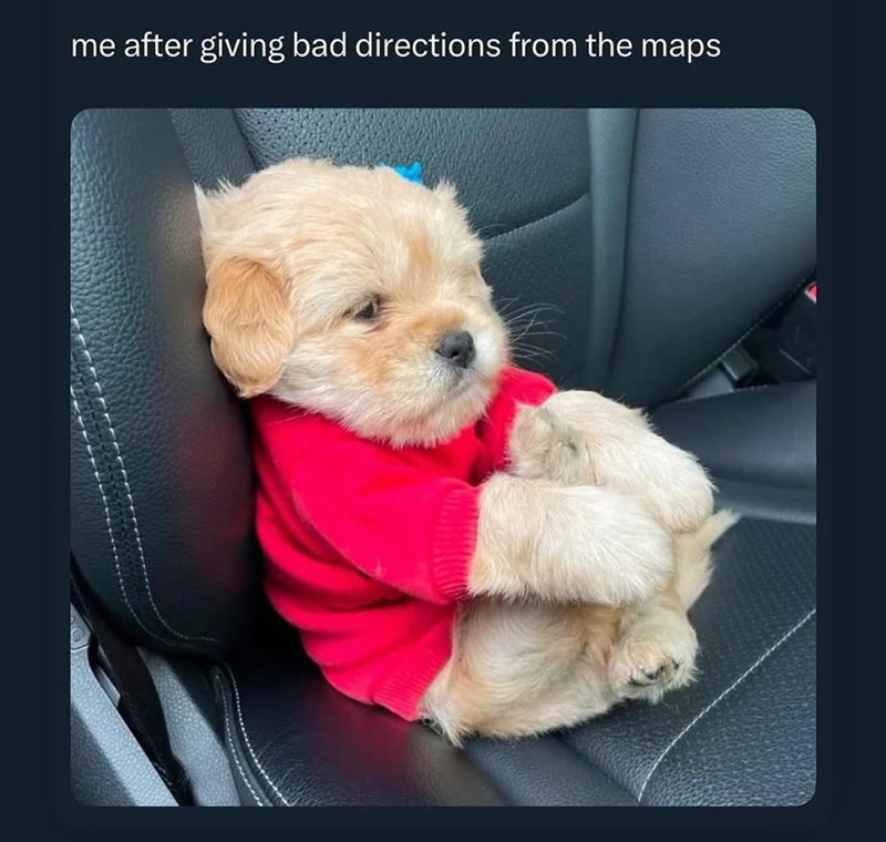 me after giving bad directions from the maps