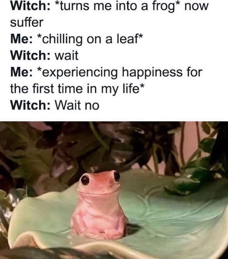 Witch: *turns me into a frog* now suffer Me: *chilling on a leaf* Witch: wait Me: *experiencing happiness for the first time in my life* Witch: Wait no