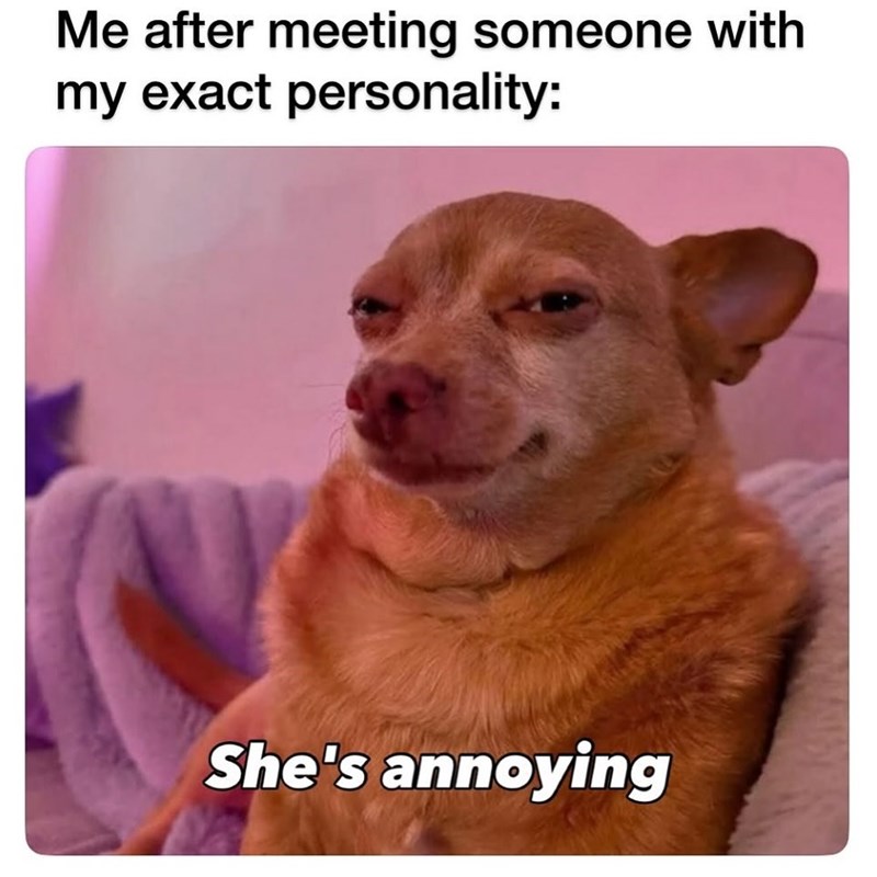 Me after meeting someone with my exact personality: She's annoying