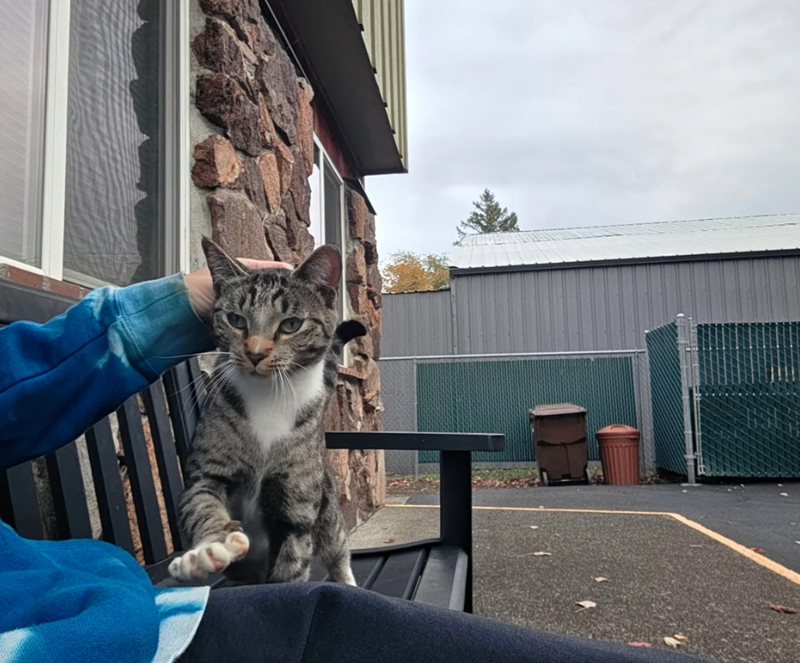 Cheezburger Image 10617491456