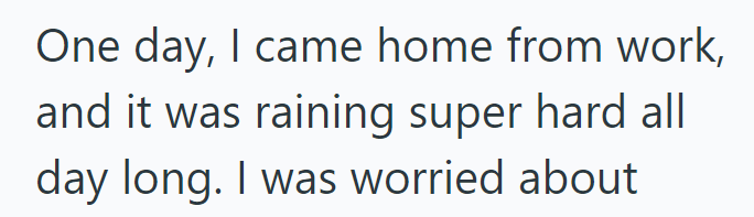 One day, I came home from work, and it was raining super hard all day long. I was worried about