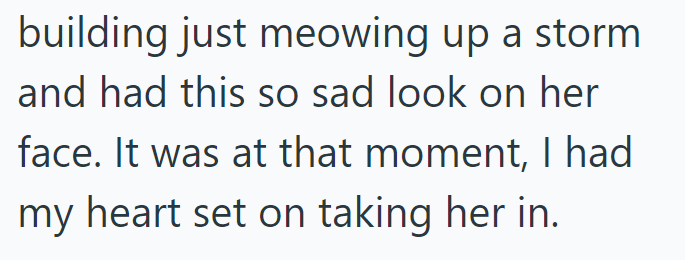 building just meowing up a storm and had this so sad look on her face. It was at that moment, I had my heart set on taking her in.