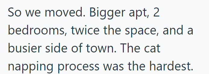 So we moved. Bigger apt, 2 bedrooms, twice the space, and a busier side of town. The cat napping process was the hardest.