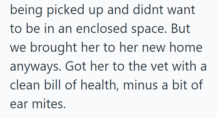 being picked up and didnt want to be in an enclosed space. But we brought her to her new home anyways. Got her to the vet with a clean bill of health, minus a bit of ear mites.