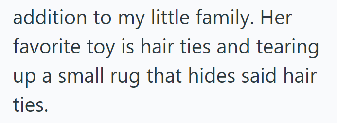 addition to my little family. Her favorite toy is hair ties and tearing up a small rug that hides said hair ties.