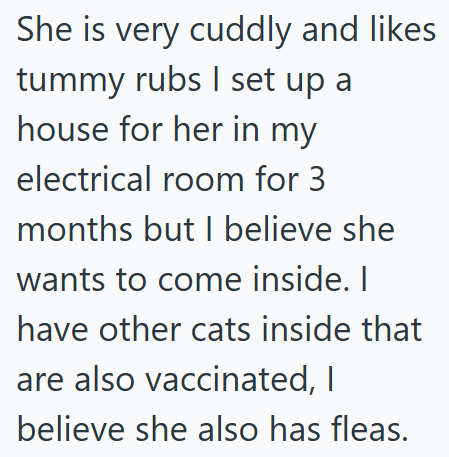 She is very cuddly and likes tummy rubs I set up a house for her in my electrical room for 3 months but I believe she wants to come inside. I have other cats inside that are also vaccinated, I believe she also has fleas.