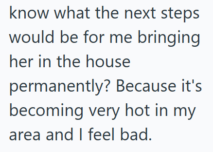know what the next steps would be for me bringing her in the house permanently? Because it's becoming very hot in my area and I feel bad.