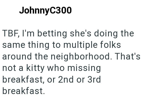 JohnnyC300 TBF, I'm betting she's doing the same thing to multiple folks around the neighborhood. That's not a kitty who missing breakfast, or 2nd or 3rd breakfast.