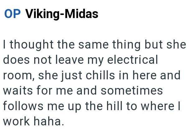 OP Viking-Midas I thought the same thing but she does not leave my electrical room, she just chills in here and waits for me and sometimes follows me up the hill to where I work haha.