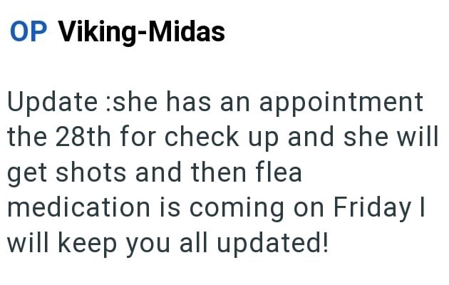 OP Viking-Midas Update :she has an appointment the 28th for check up and she will get shots and then flea medication is coming on Friday I will keep you all updated!