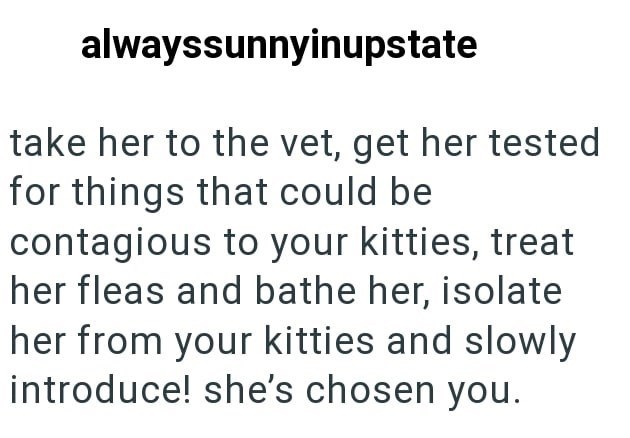 alwayssunnyinupstate take her to the vet, get her tested for things that could be contagious to your kitties, treat her fleas and bathe her, isolate her from your kitties and slowly introduce! she's chosen you.