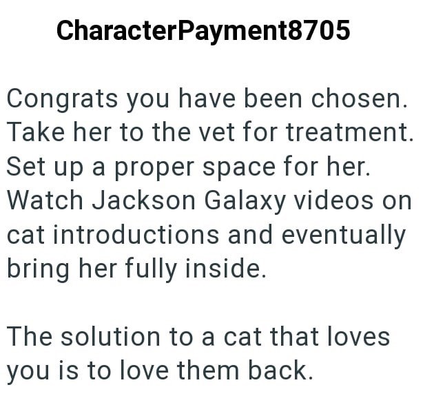Character Payment8705 Congrats you have been chosen. Take her to the vet for treatment. Set up a proper space for her. Watch Jackson Galaxy videos on cat introductions and eventually bring her fully inside. The solution to a cat that loves you is to love them back.