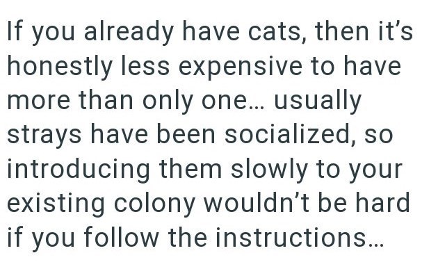 If you already have cats, then it's honestly less expensive to have more than only one... usually strays have been socialized, so introducing them slowly to your existing colony wouldn't be hard if you follow the instructions...