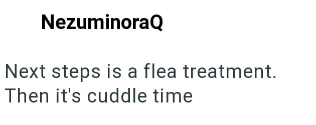 NezuminoraQ Next steps is a flea treatment. Then it's cuddle time