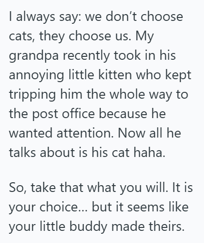 I always say: we don't choose cats, they choose us. My grandpa recently took in his annoying little kitten who kept tripping him the whole way to the post office because he wanted attention. Now all he talks about is his cat haha. So, take that what you will. It is your choice... but it seems like your little buddy made theirs.