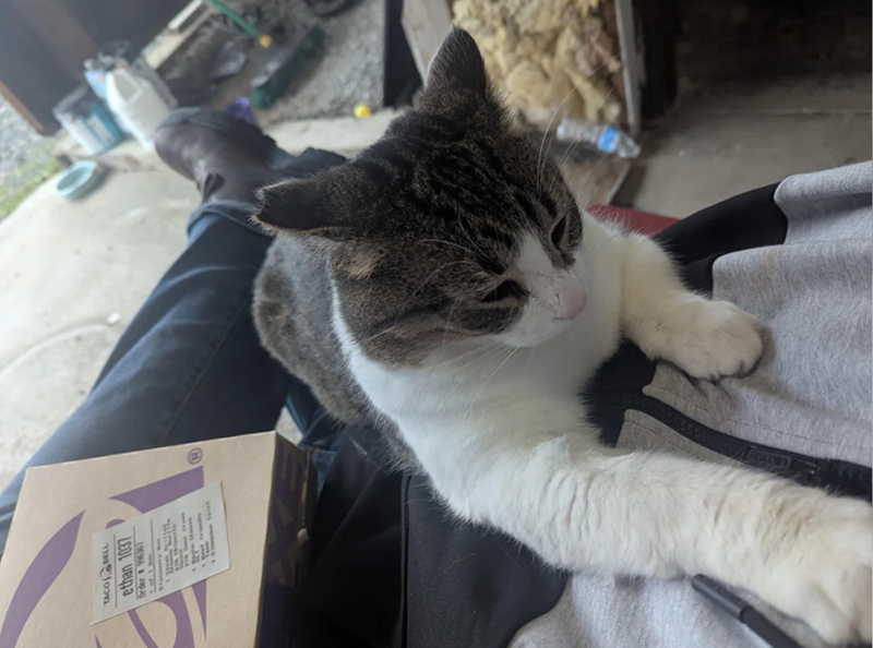 Cheezburger Image 10617502208