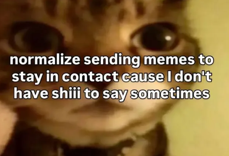 normalize sending memes to stay in contact cause I don't have shiii to say sometimes