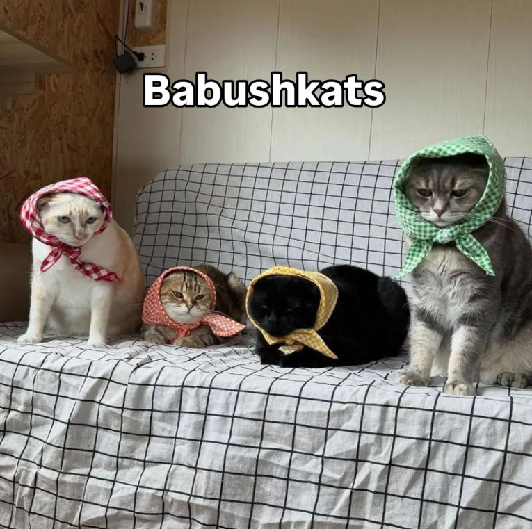 Babushkats