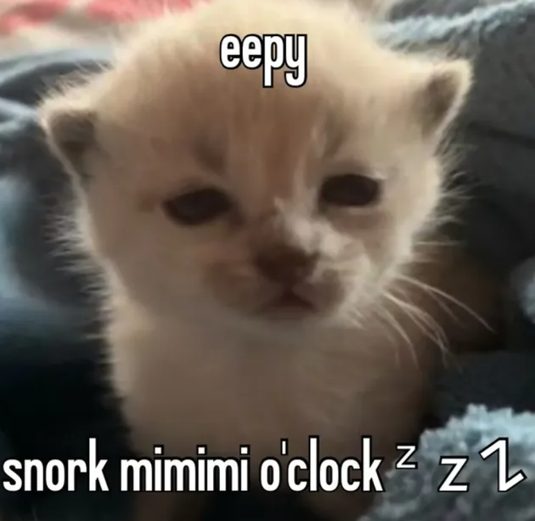 eepy snork mimimi o'clock 2 z Z Z