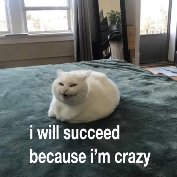 i will succeed because i'm crazy