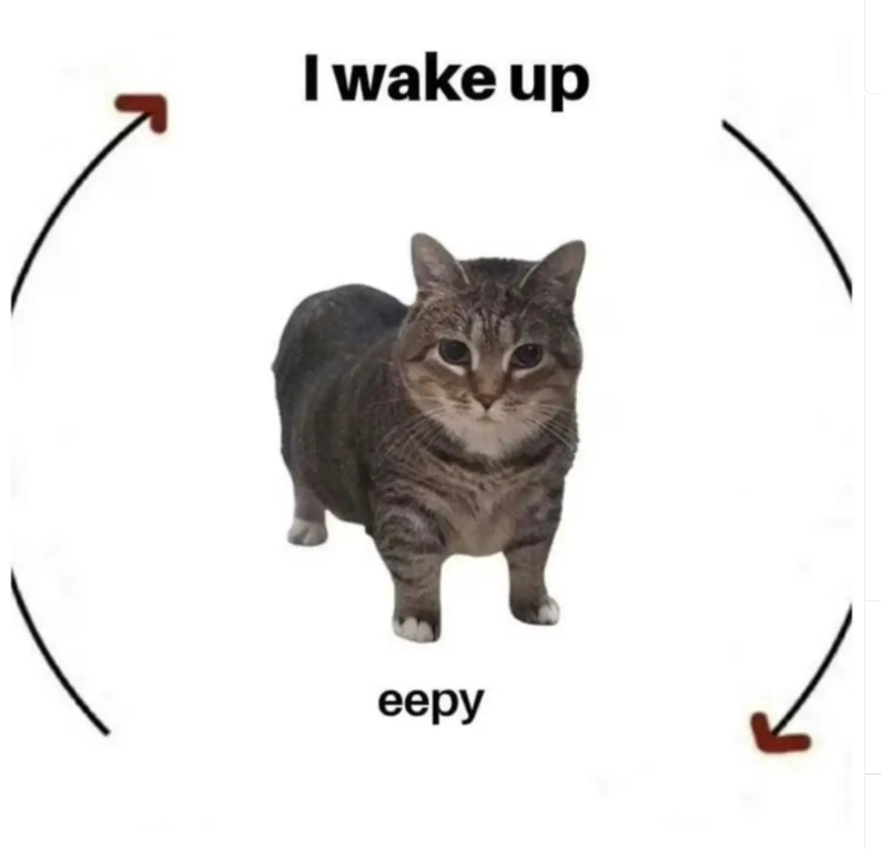 I wake up eepy