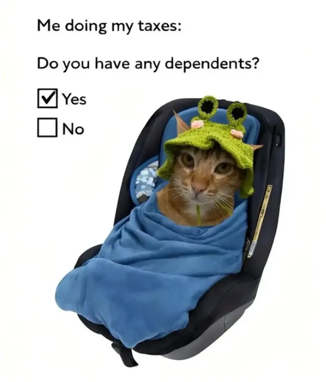 Me doing my taxes: Do you have any dependents? Yes No