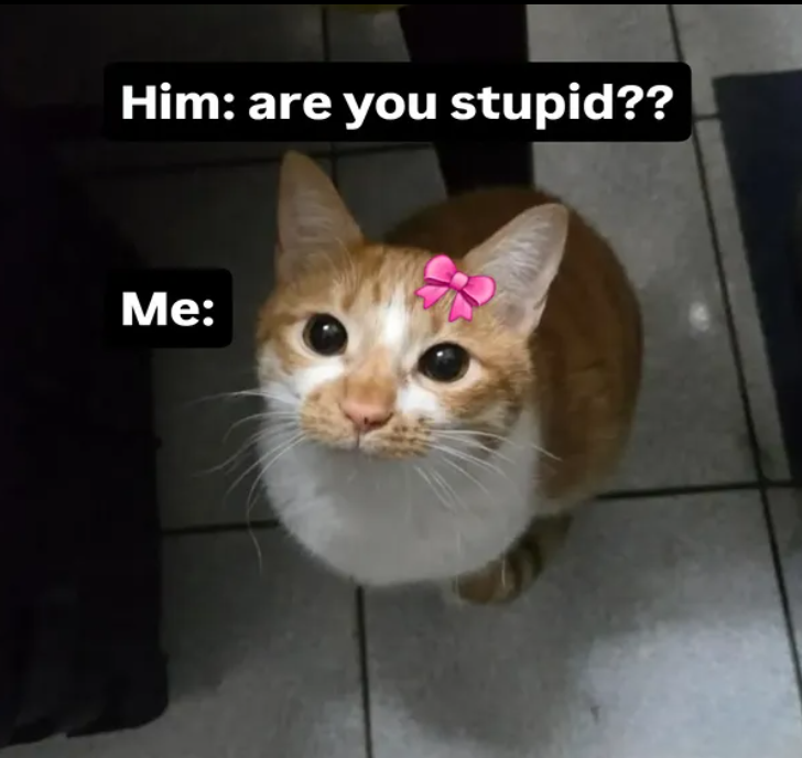 Him: are you stupid?? Me: