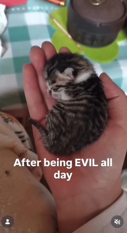 After being EVIL all day
