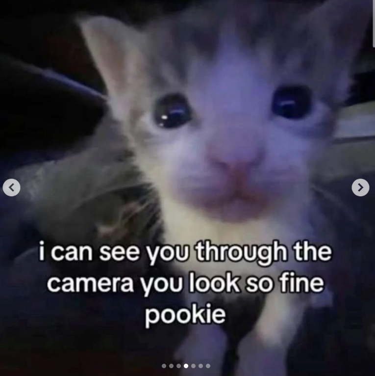 i can see you through the camera you look so fine pookie >