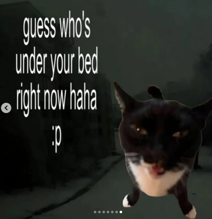 © guess who's under your bed right now haha