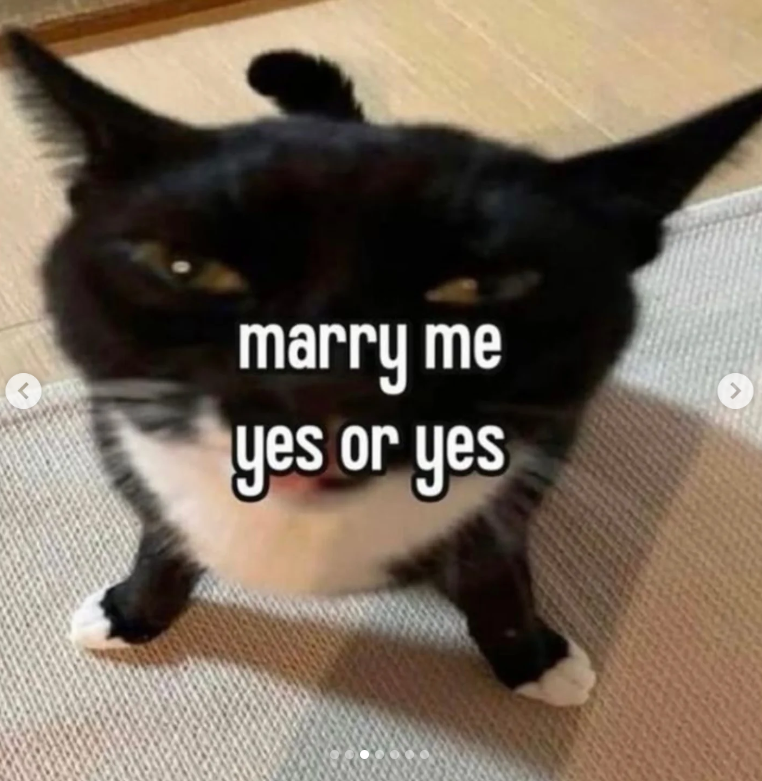 < marry me yes or yes
